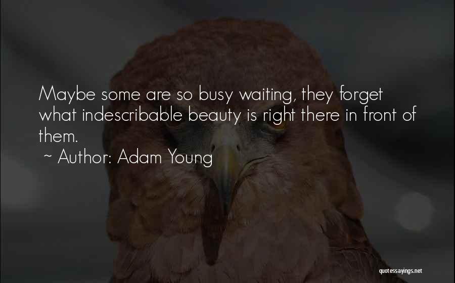Adam Young Quotes 1000793