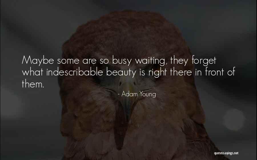 Adam Young Quotes 1000793 Adam Young Quotes 1000793