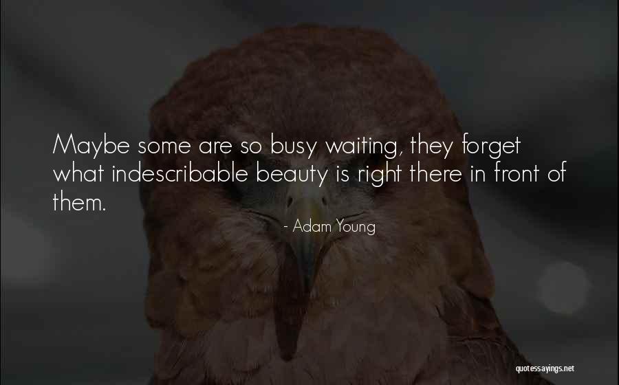 Adam Young Quotes 1000793