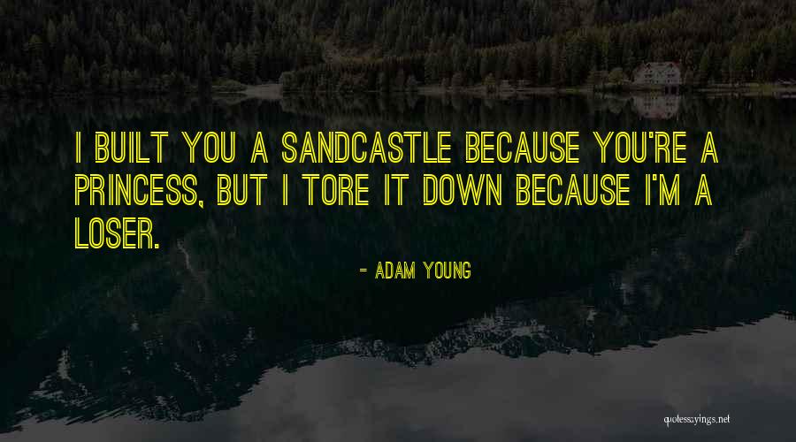 Adam Young Quotes 564760