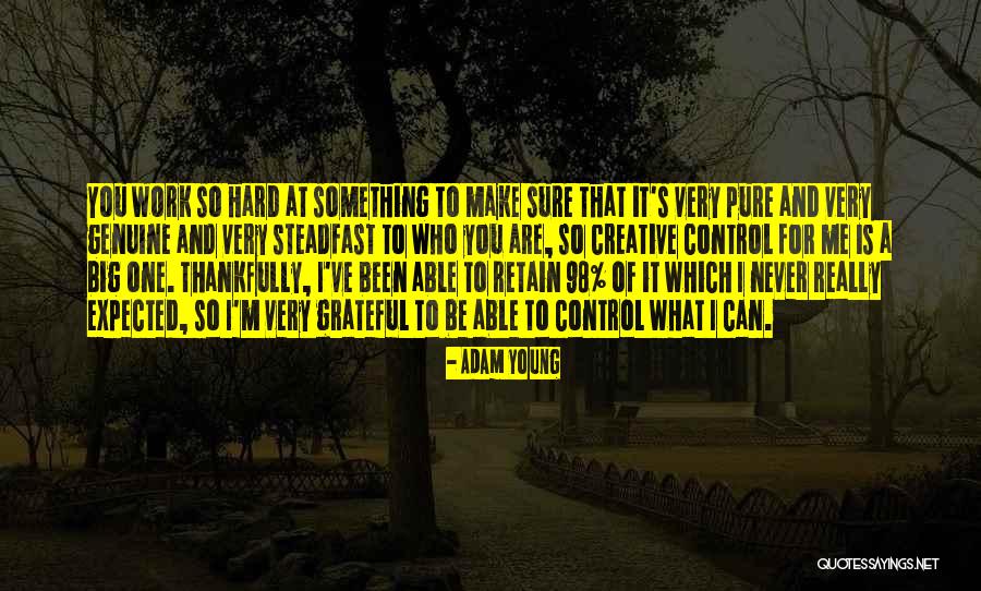 Adam Young Quotes 998074