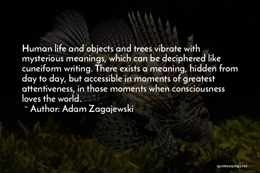 Adam Zagajewski Quotes 1645375