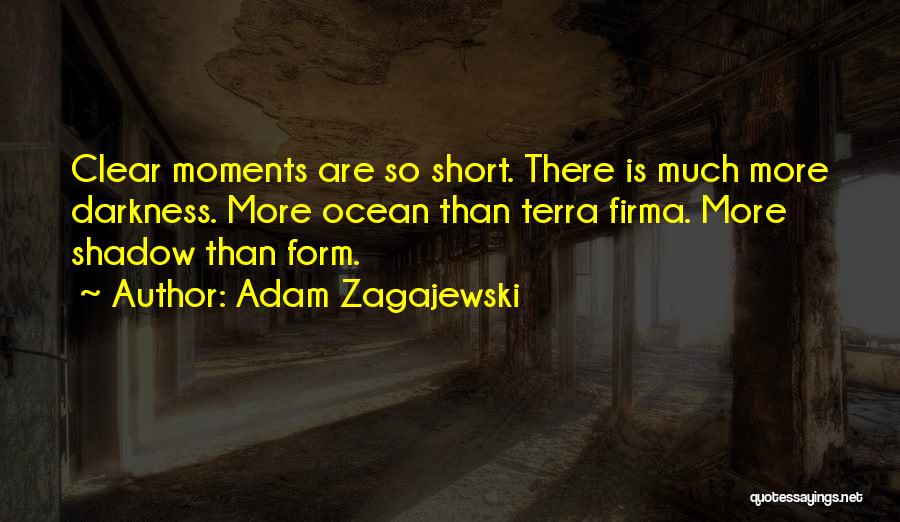 Adam Zagajewski Quotes 2243122