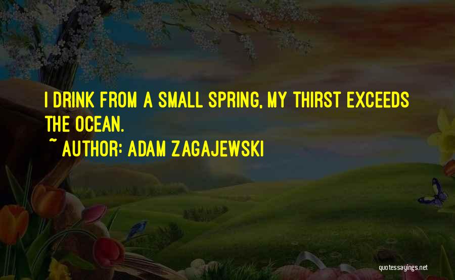 Adam Zagajewski Quotes 483512