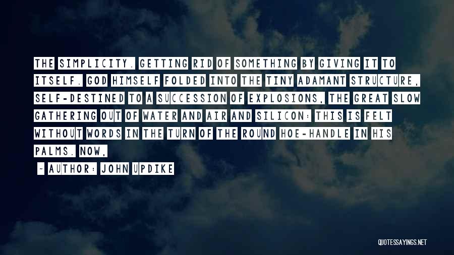 Adamant Quotes By John Updike