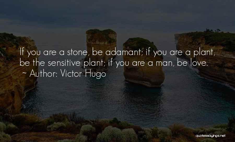 Adamant Quotes By Victor Hugo