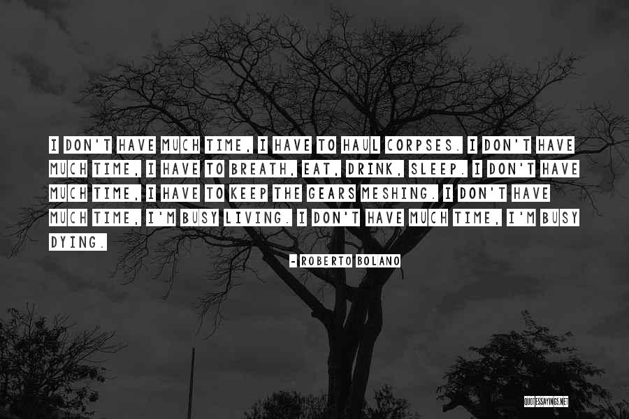 Adamantea Quotes By Roberto Bolano Adamantea Quotes By Roberto Bolano