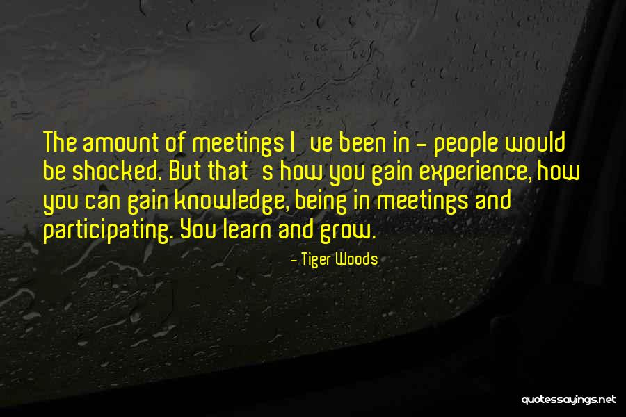 Adamantidis Palia Quotes By Tiger Woods Adamantidis Palia Quotes By Tiger Woods