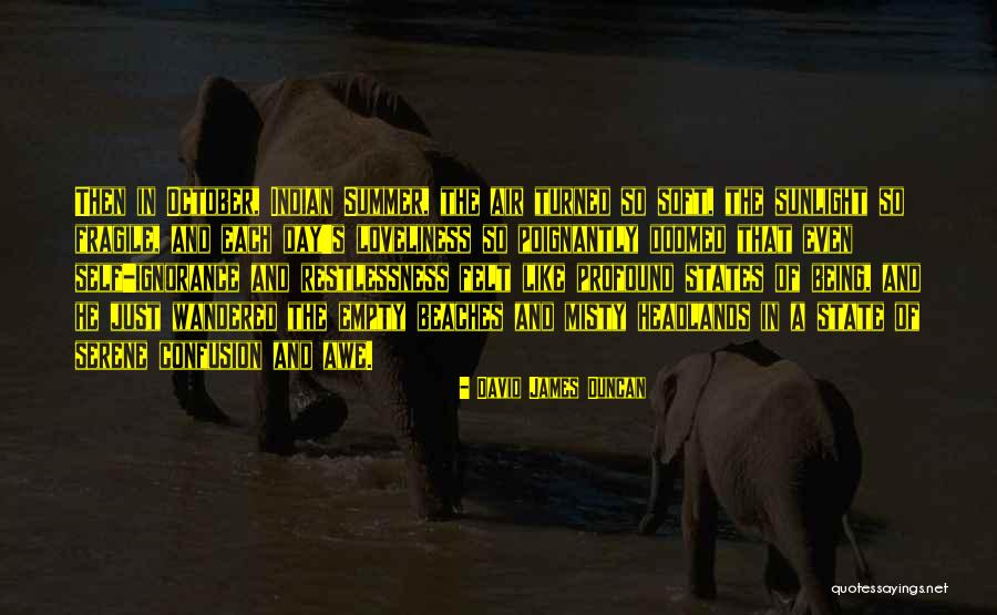 Adams Enterprise Quotes By David James Duncan Adams Enterprise Quotes By David James Duncan