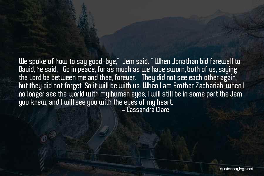 Adamska Ocelot Quotes By Cassandra Clare Adamska Ocelot Quotes By Cassandra Clare