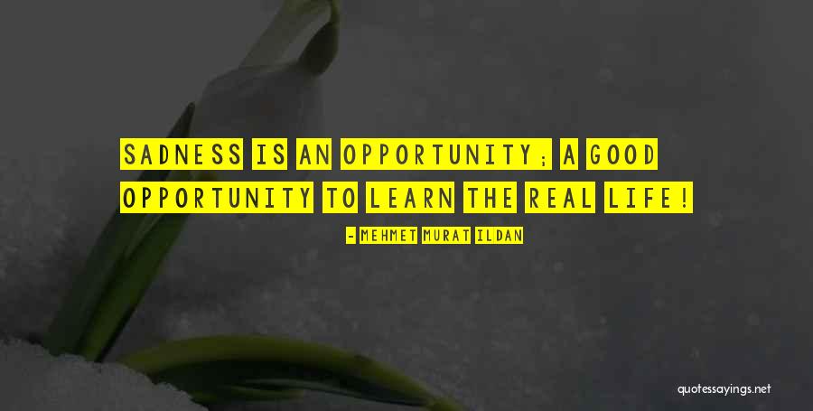 Adamson Associates Quotes By Mehmet Murat Ildan Adamson Associates Quotes By Mehmet Murat Ildan