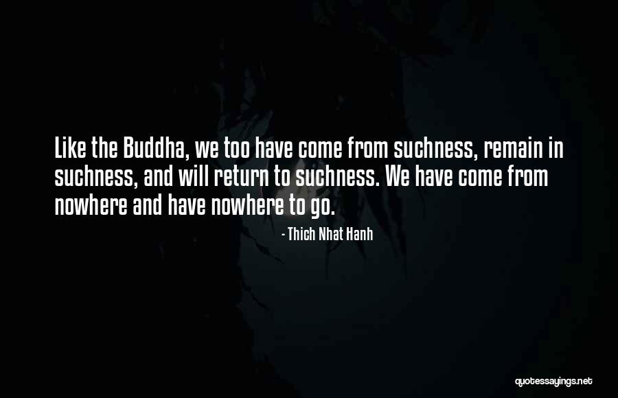Adaora Otubelu Quotes By Thich Nhat Hanh Adaora Otubelu Quotes By Thich Nhat Hanh