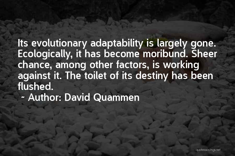 Adaptability Quotes By David Quammen