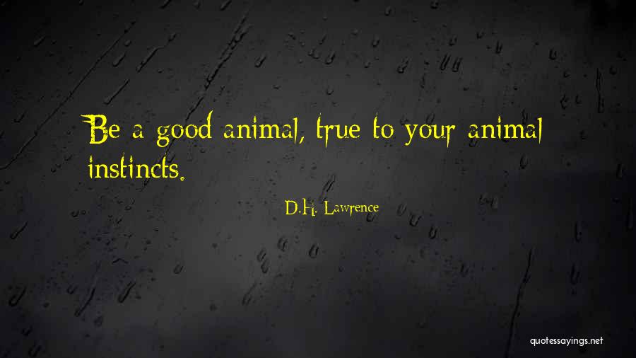 Adaptacin Supplement Quotes By D.H. Lawrence Adaptacin Supplement Quotes By D.H. Lawrence