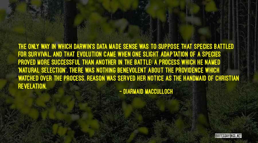 Adaptation Quotes By Diarmaid MacCulloch