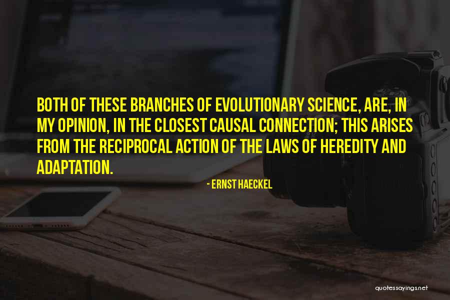 Adaptation Quotes By Ernst Haeckel