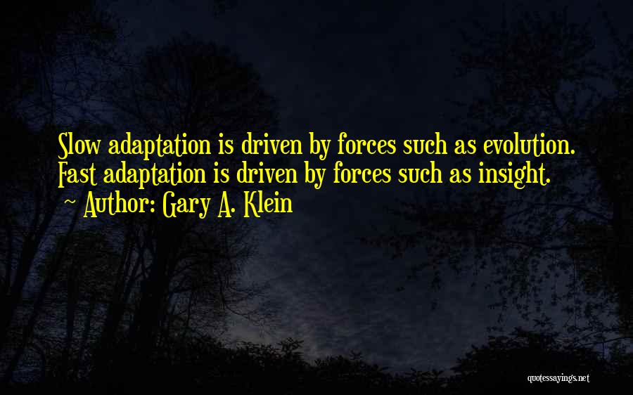 Adaptation Quotes By Gary A. Klein