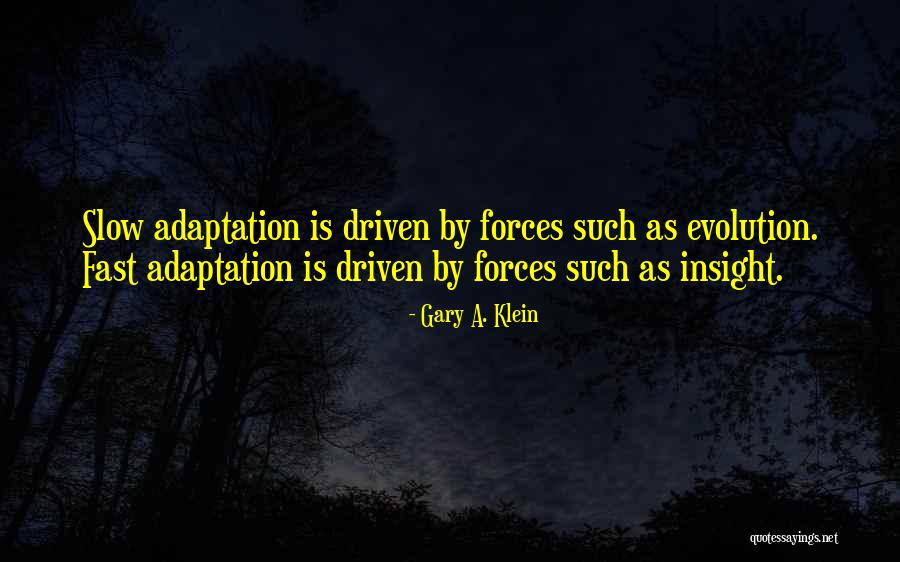 Adaptation Quotes By Gary A. Klein