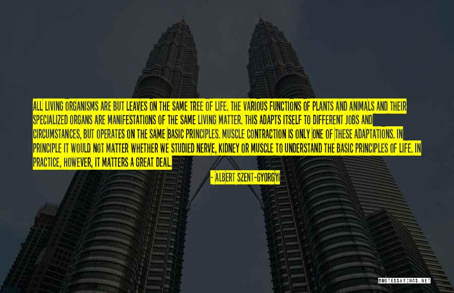 Adapts Quotes By Albert Szent-Gyorgyi Adapts Quotes By Albert Szent-Gyorgyi