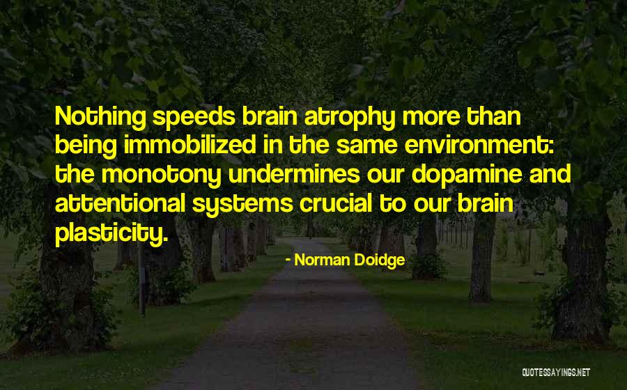 Adattarsi In Inglese Quotes By Norman Doidge Adattarsi In Inglese Quotes By Norman Doidge