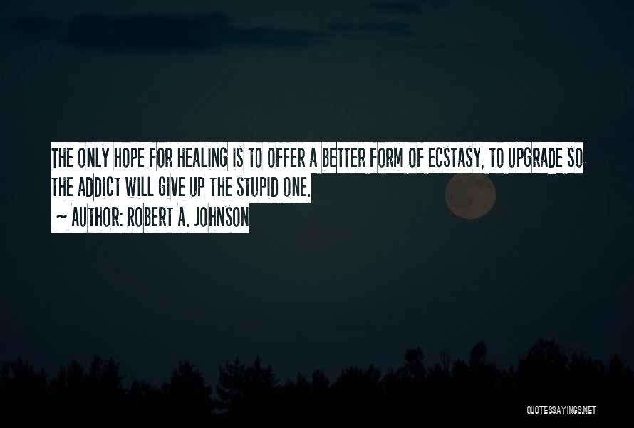 Addict Quotes By Robert A. Johnson