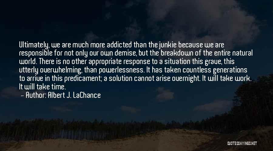 Addiction And Change Quotes By Albert J. LaChance