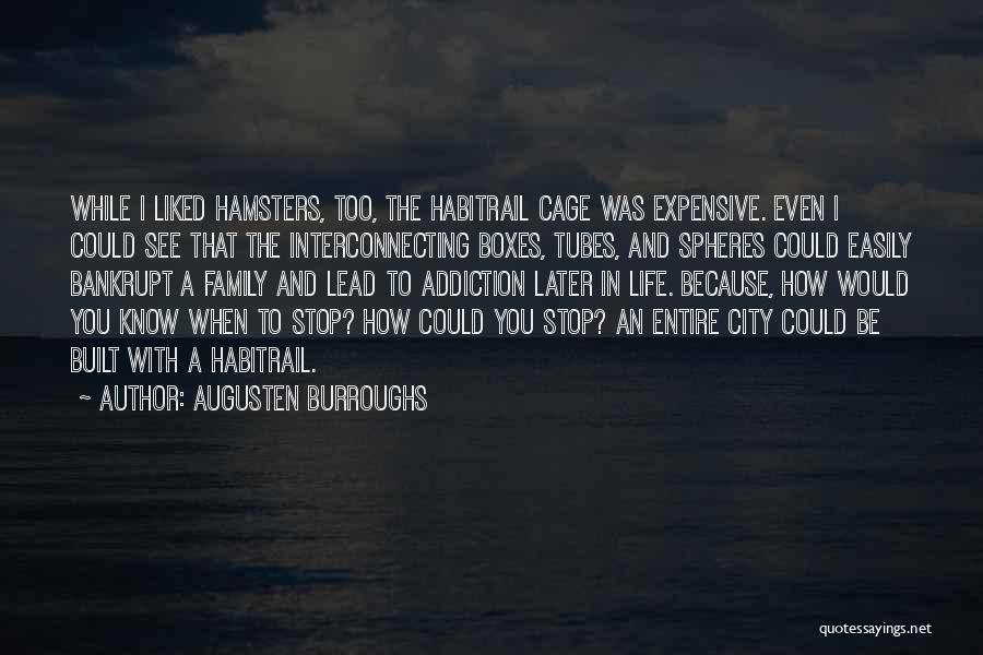 Addiction And Family Quotes By Augusten Burroughs