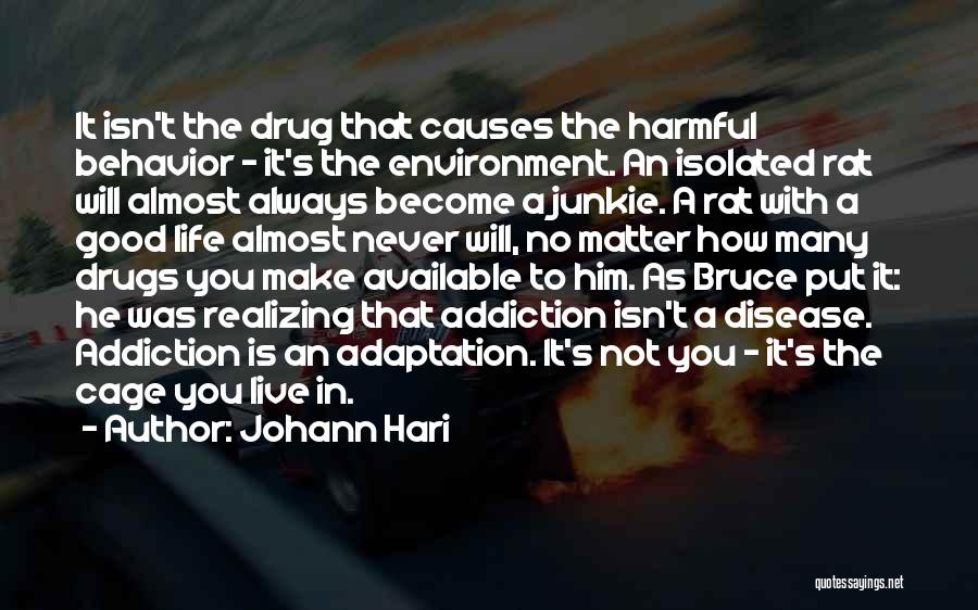 Addiction Drugs Quotes By Johann Hari