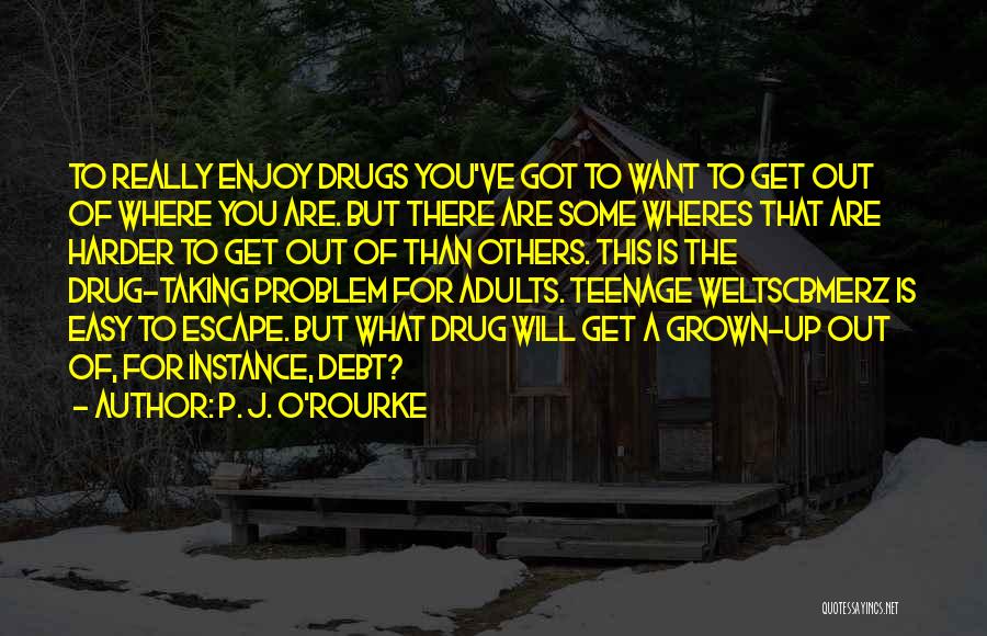 Addiction Drugs Quotes By P. J. O'Rourke