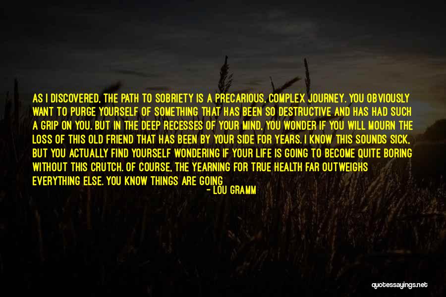 Addiction To Drugs And Alcohol Quotes By Lou Gramm