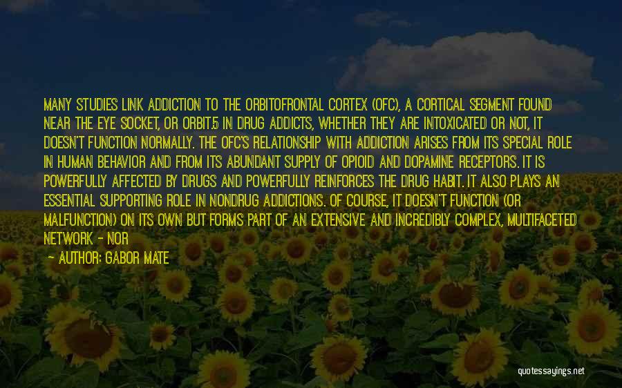 Addiction To Drugs Quotes By Gabor Mate