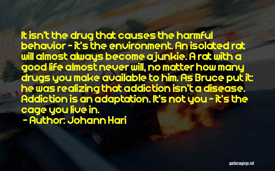 Addiction To Drugs Quotes By Johann Hari