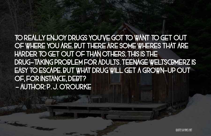 Addiction To Drugs Quotes By P. J. O'Rourke