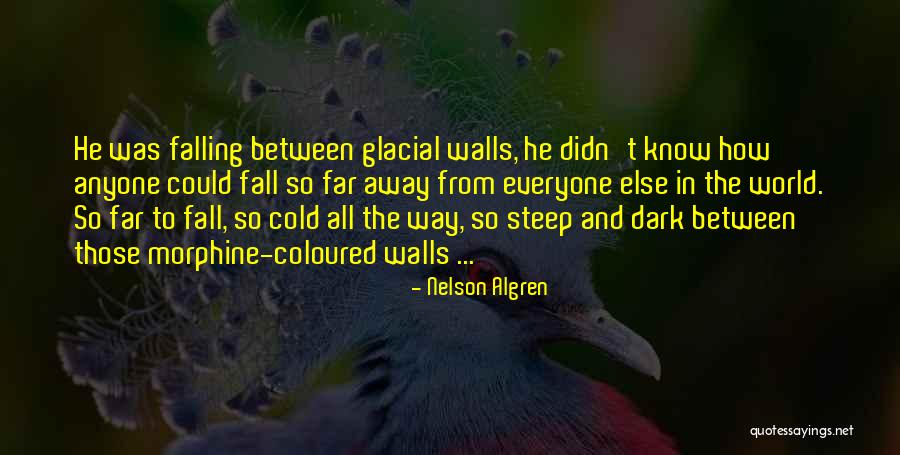 Addiction To Morphine Quotes By Nelson Algren Addiction To Morphine Quotes By Nelson Algren
