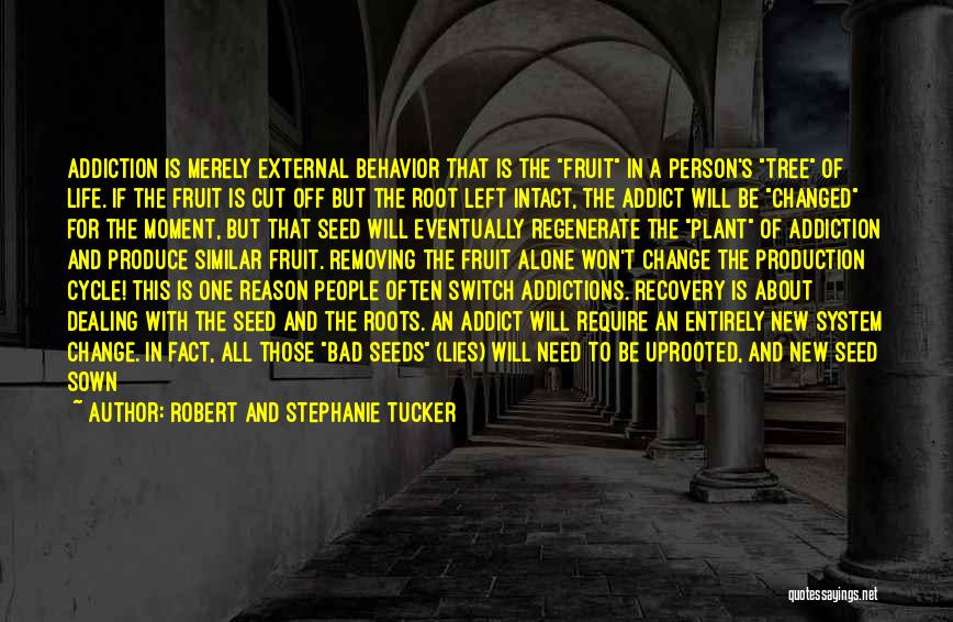 Addictions Recovery Quotes By Robert And Stephanie Tucker