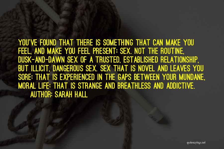 Addictive Relationship Quotes By Sarah Hall