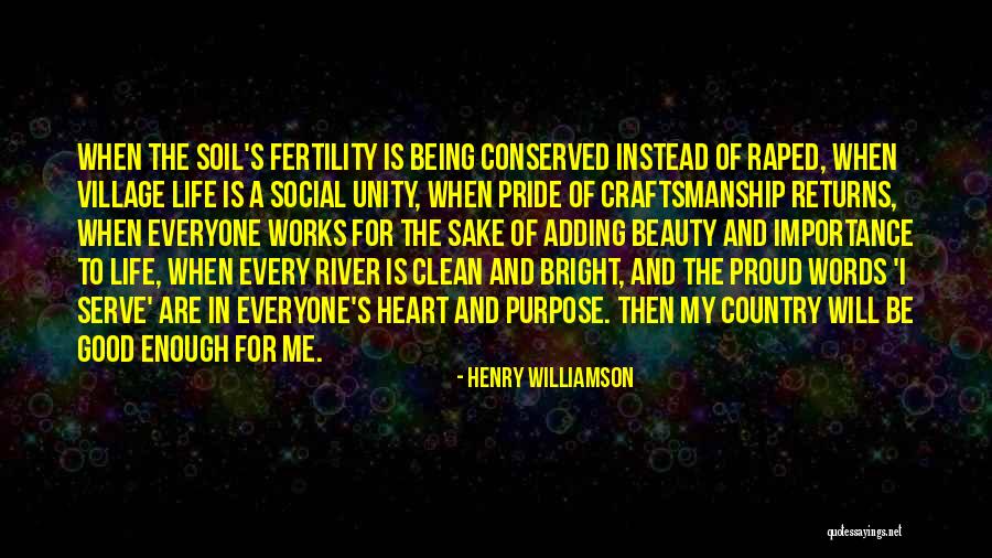 Adding Words Into Quotes By Henry Williamson Adding Words Into Quotes By Henry Williamson