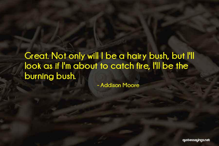 Addison Moore Quotes 476158 Addison Moore Quotes 476158