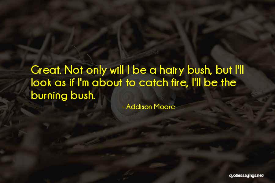 Addison Moore Quotes 476158