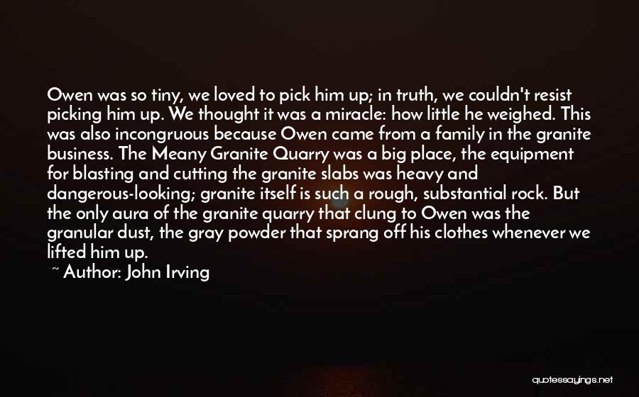 Addition To Family Quotes By John Irving