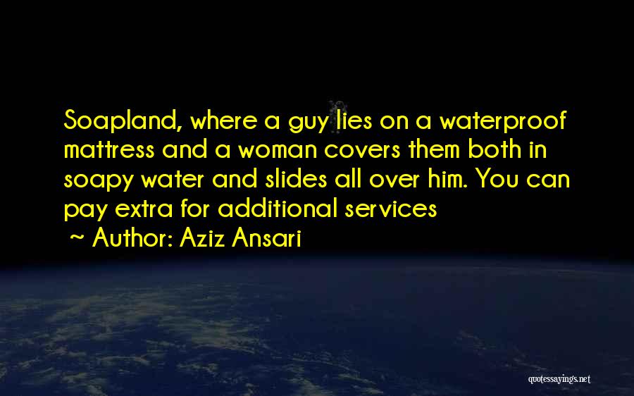 Additional Services Quotes By Aziz Ansari