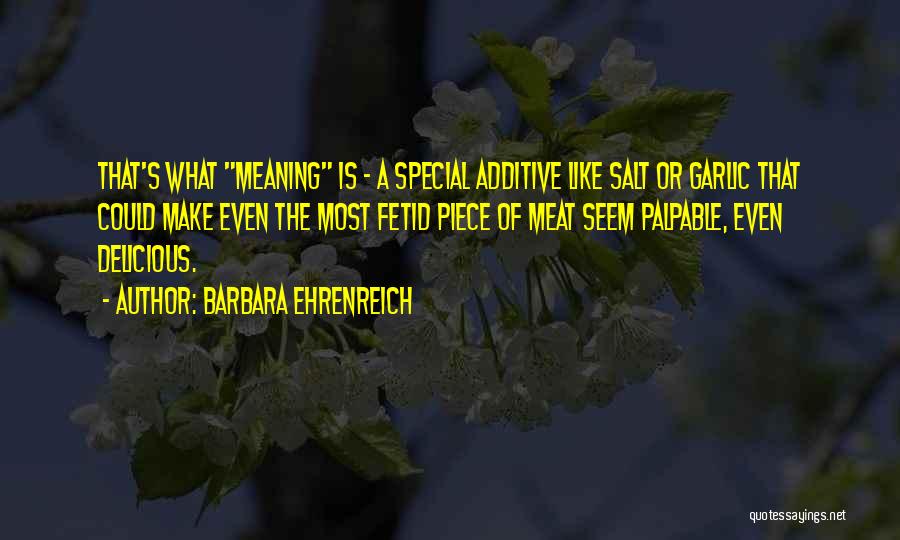 Additive Quotes By Barbara Ehrenreich