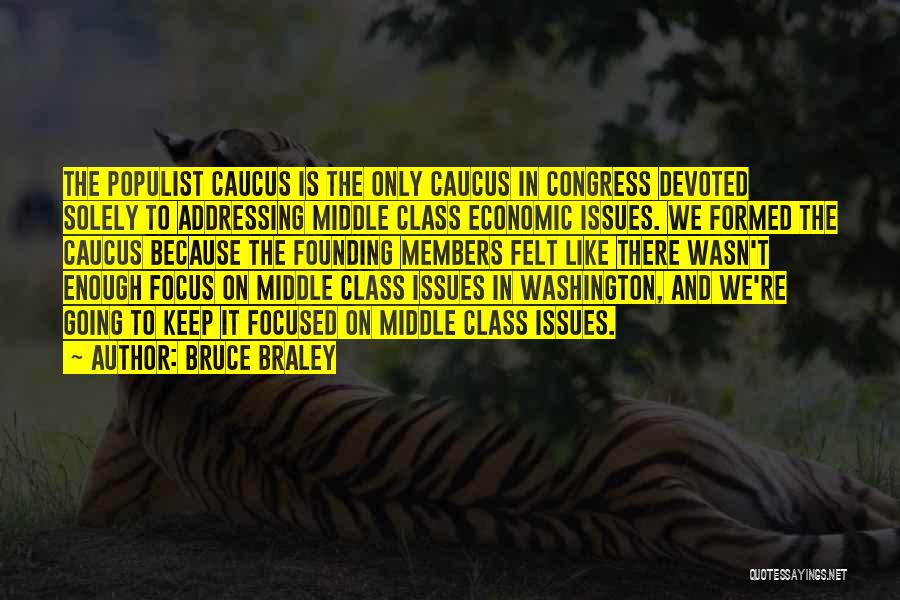 Addressing Issues Quotes By Bruce Braley