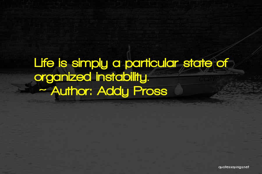 Addy Pross Quotes 646432