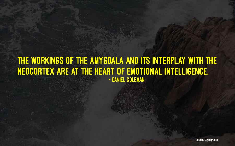 Adebiyi Adesina Quotes By Daniel Goleman Adebiyi Adesina Quotes By Daniel Goleman