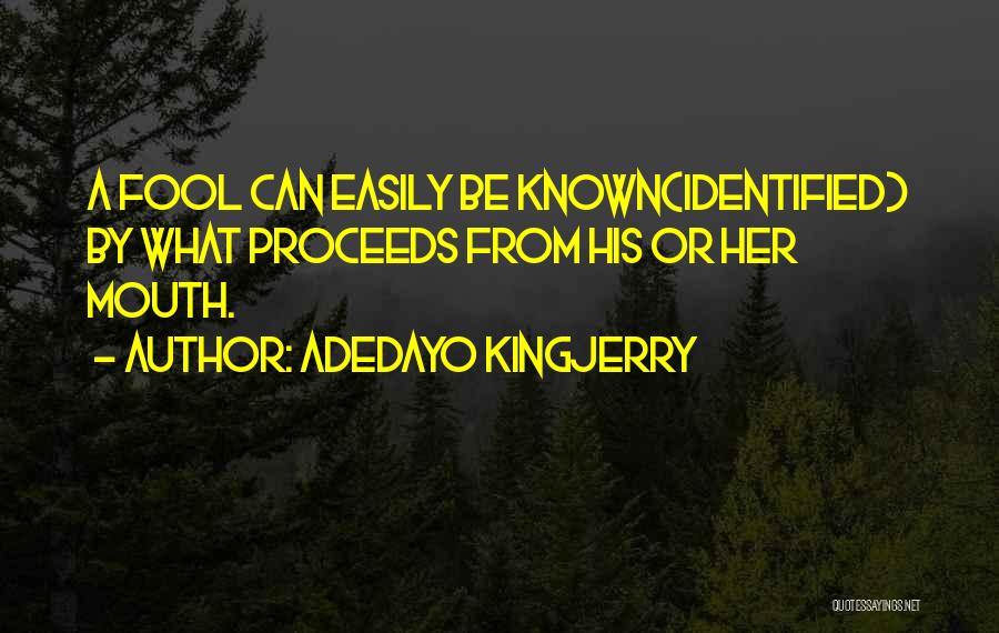 Adedayo Kingjerry Quotes 1417699