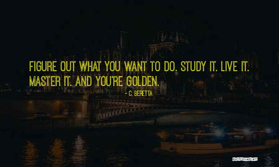 Adelabu Adebayo Quotes By C. Beretta Adelabu Adebayo Quotes By C. Beretta