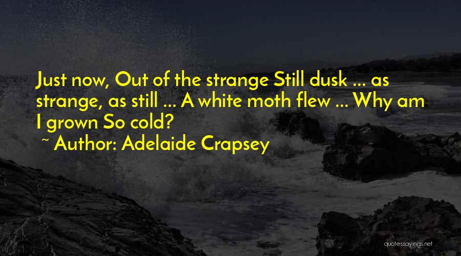Adelaide Crapsey Quotes 1495985