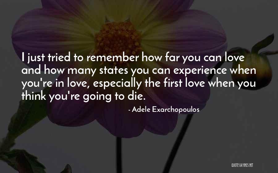 Adele Exarchopoulos Quotes 2117274 Adele Exarchopoulos Quotes 2117274