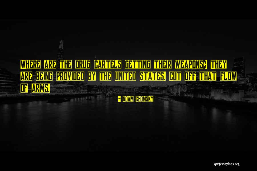 Adeleine And Ribbon Quotes By Noam Chomsky Adeleine And Ribbon Quotes By Noam Chomsky